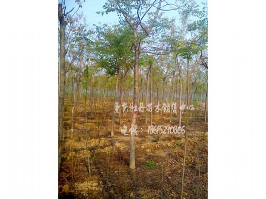点击查看详细信息<br>标题：北栾 阅读次数：970