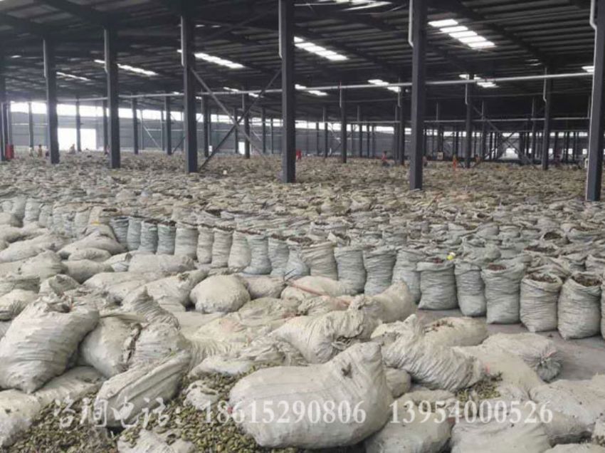 点击查看详细信息<br>标题：牡丹角 阅读次数：1448