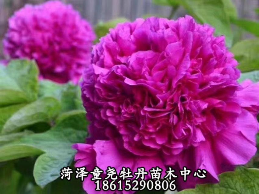 点击查看详细信息<br>标题：首案红 阅读次数：817