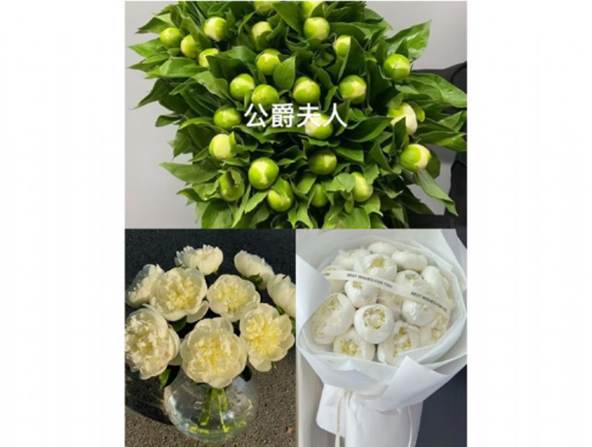 点击查看详细信息<br>标题：公爵夫人 阅读次数：35