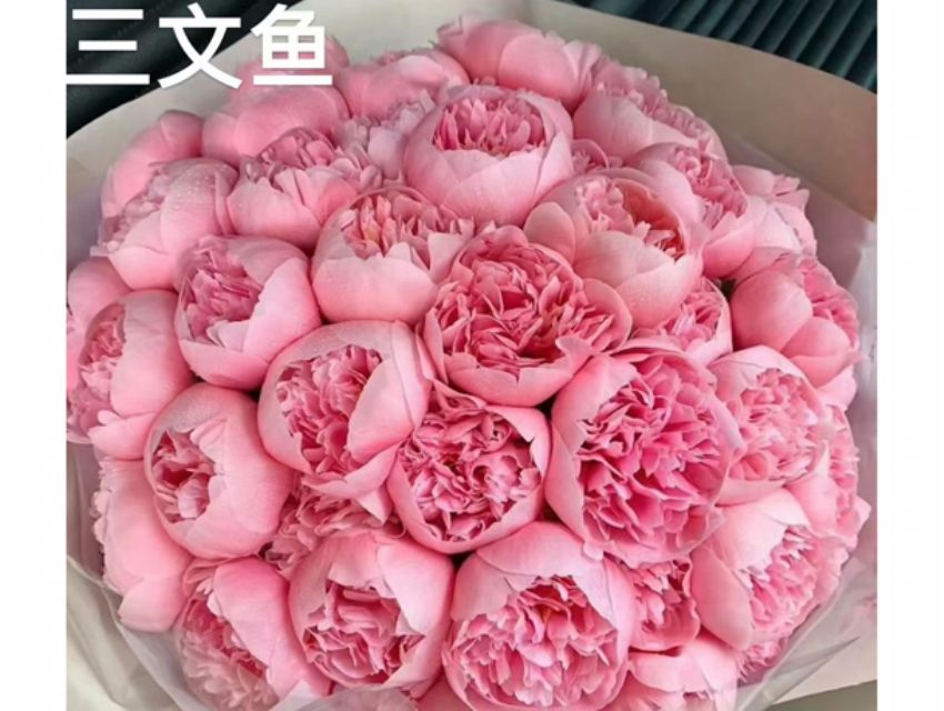 点击查看详细信息<br>标题：三文鱼 阅读次数：56